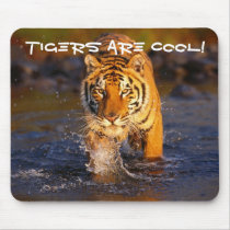Cool Tiger mousepads