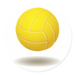 Cool Volleyball  Emblem 2 Round Stickers
