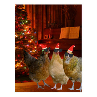 give chickens for christmas