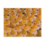 Cool Yellow Rubber Ducks Photo Funny Postcard