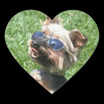 Cool Yorskshire Terrier stickers stickers