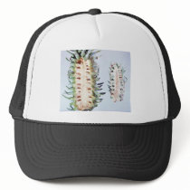 Cooley Spruce Gall Adelgid and Gall Pineus Mesh Hats