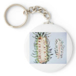 Cooley Spruce Gall Adelgid and Gall Pineus Key Chains