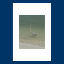 Cooling Off posters
