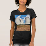 Cooling Towers Of A Nuclear Power Station Tees