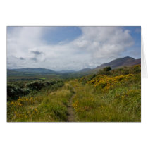 Coomdruff Hill cards
