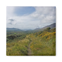 Coomdruff Hill magnets