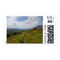 Coomdruff Hill stamps