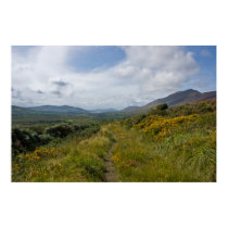 Coomdruff Hill posters