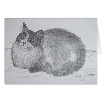 coon cat cards by artbynina coon cat cards