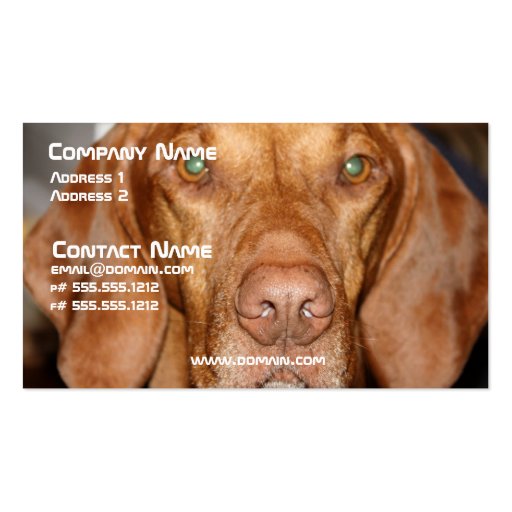 Coon Hound Business Card (front side)