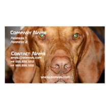 Coon Hound Business Card