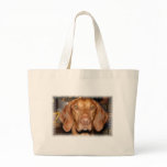 Coon Hound Canvas Bag