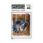 coon stamp