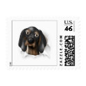 Coonhound (Black and Tan) Busting Out - Customized stamp