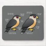 Coop v Sharpie Mousepads