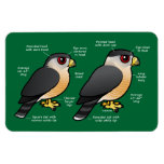 Coop v Sharpie Rectangular Magnets