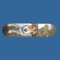 Cooper Board skateboards