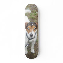 Cooper Board skateboards by NewfieDish Cooper Board skateboards