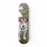 Cooper Board Skate Board
