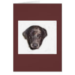 Cooper cards