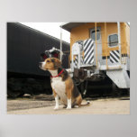 Cooper the Beagle at Union Train Depot Poster
