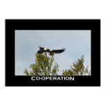 COOPERATION Bald Eagles Photo Poster