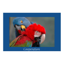Cooperation posters