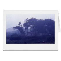Cooper's Bay in the mist cards