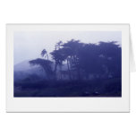 Cooper's Bay in the mist cards