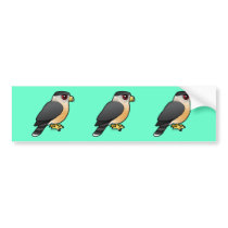 Cooper's Hawk Bumper Stickers