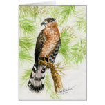 "Coopers Hawk" cards