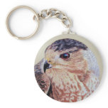 Coopers Hawk keychains