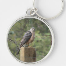 Cooper's Hawk Large Premium Keychain