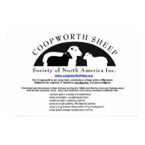Coopworth Sheep Poster posters