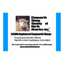 Coopworth Sheep Society of North America posters by mdube Coopworth Sheep Society of North America posters