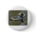 Coot 9P051D-066 buttons