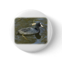 Coot 9P051D-066 buttons