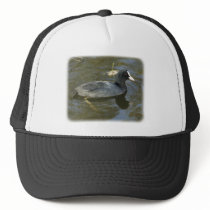 Coot 9P051D-066 hats by TraffordPhotos Coot 9P051D-066 hats