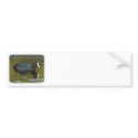 Coot 9R005D-125 bumper stickers