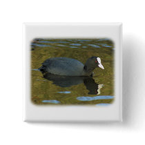 Coot 9R005D-125 buttons