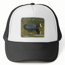 Coot 9R005D-125 hats by TraffordPhotos Coot 9R005D-125 hats