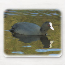 Coot 9R005D-125 mousepads