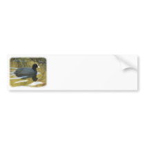 Coot 9R005D-127 bumper stickers by TraffordPhotos Coot 9R005D-127 bumper stickers