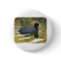 Coot 9R005D-127 buttons