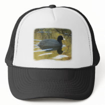 Coot 9R005D-127 hats by TraffordPhotos Coot 9R005D-127 hats