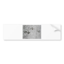 Coot Footprints In The Snow Bumper Sticker