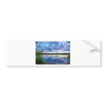 Coot Lake View Bumper Stickers