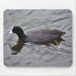 Coot Mouse Mat