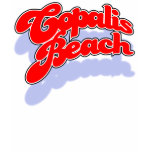 Copalis Beach openswoop shirt